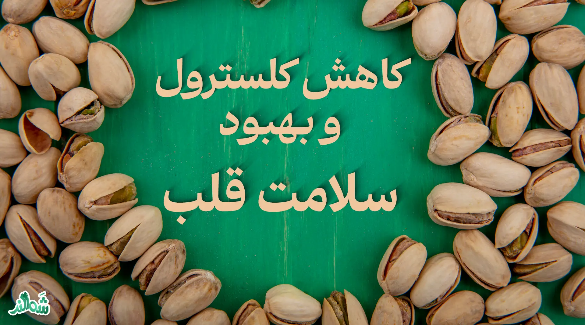 خواص پسته؛ دانه‌ های سبز سلامتی