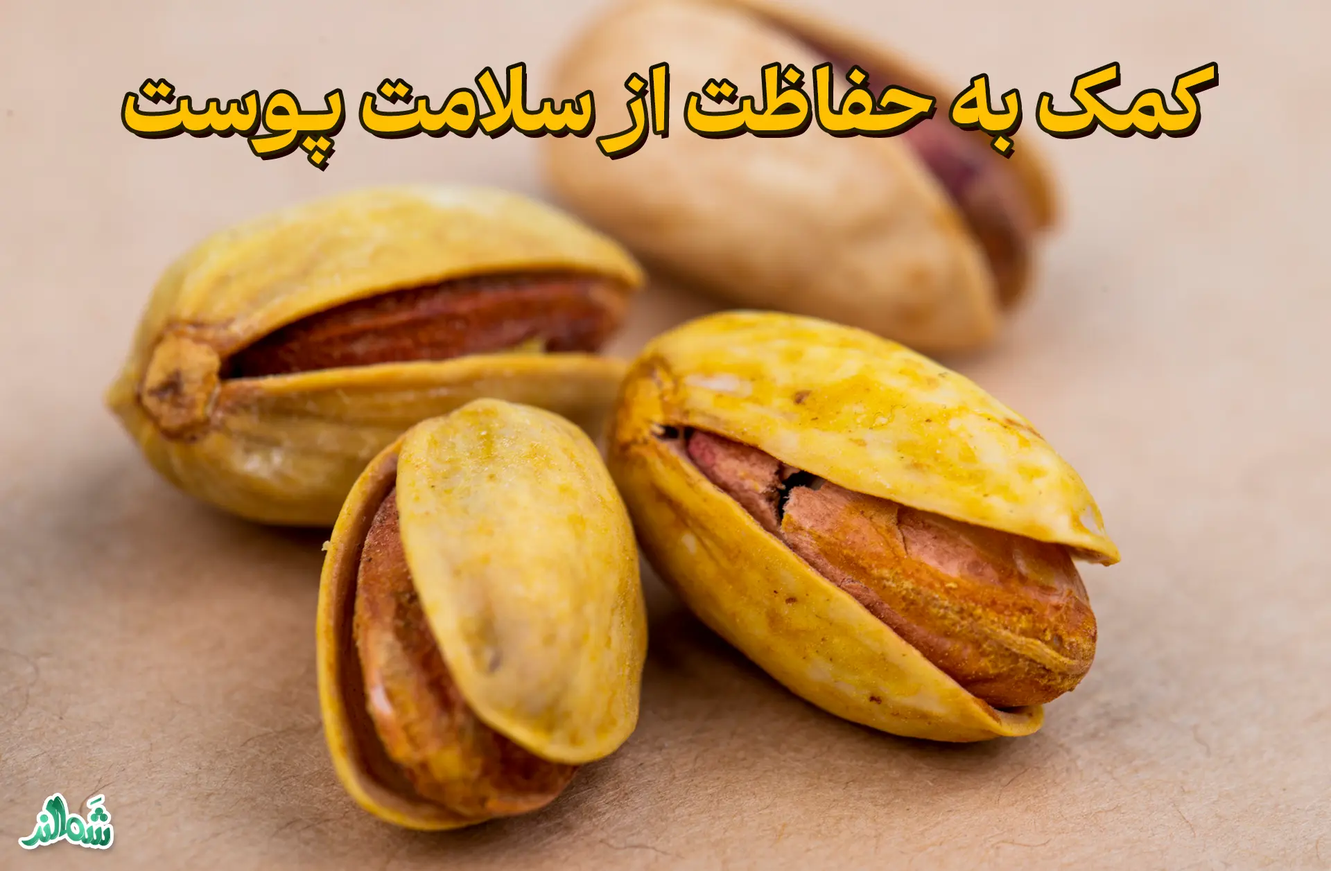 خواص پسته؛ دانه‌ های سبز سلامتی