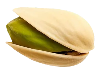 پسته شمالند