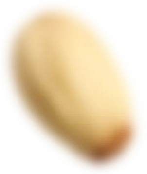 پسته شمالند