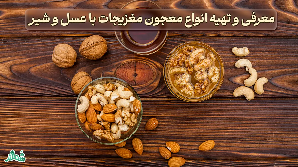 معرفی و تهیه انواع معجون مغزیجات با عسل و شیر