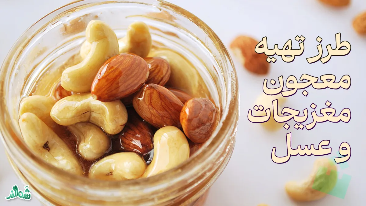 معرفی و تهیه انواع معجون مغزیجات با عسل و شیر