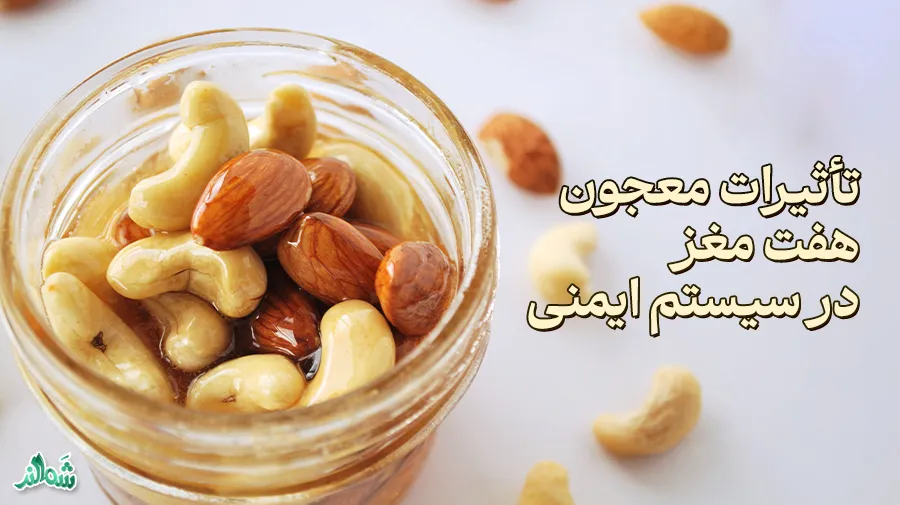معرفی و تهیه انواع معجون مغزیجات با عسل و شیر