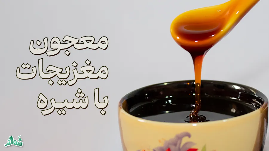 معرفی و تهیه انواع معجون، معجون مغزیجات با شیره