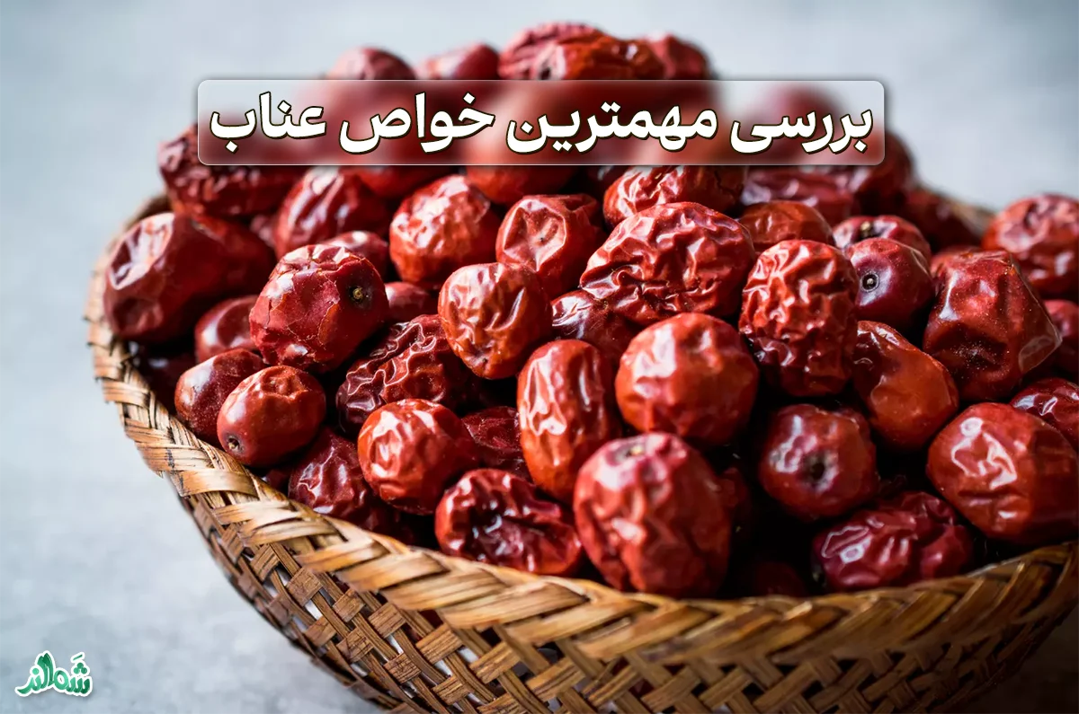 خواص عناب؛ جواهری پنهان در طبیعت