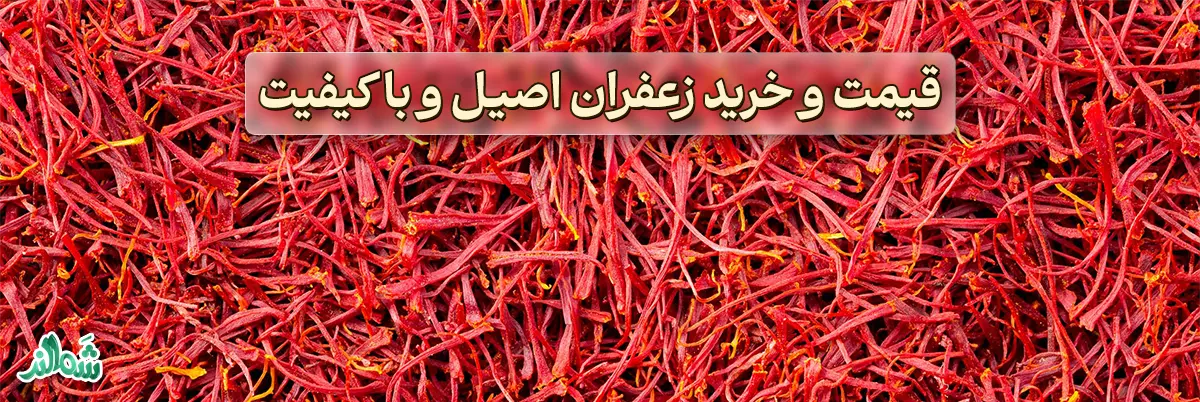 قیمت و خرید زعفران اصیل و با کیفیت شمالند
