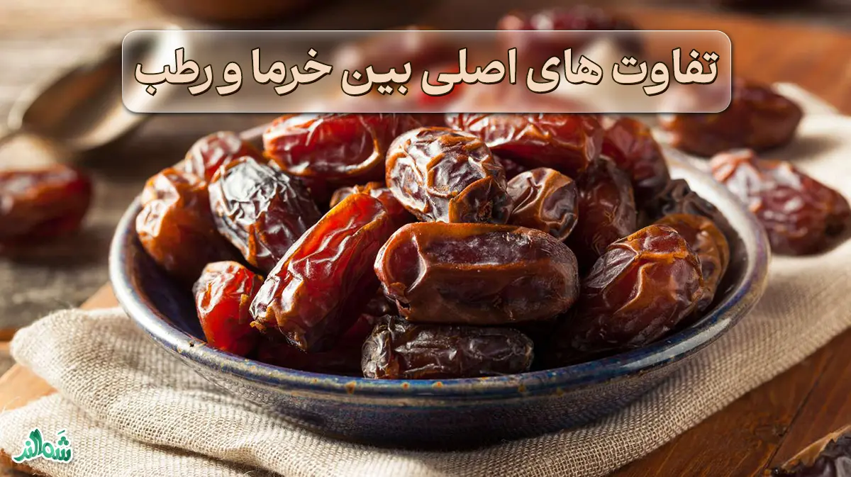 تفاوت خرما با رطب 