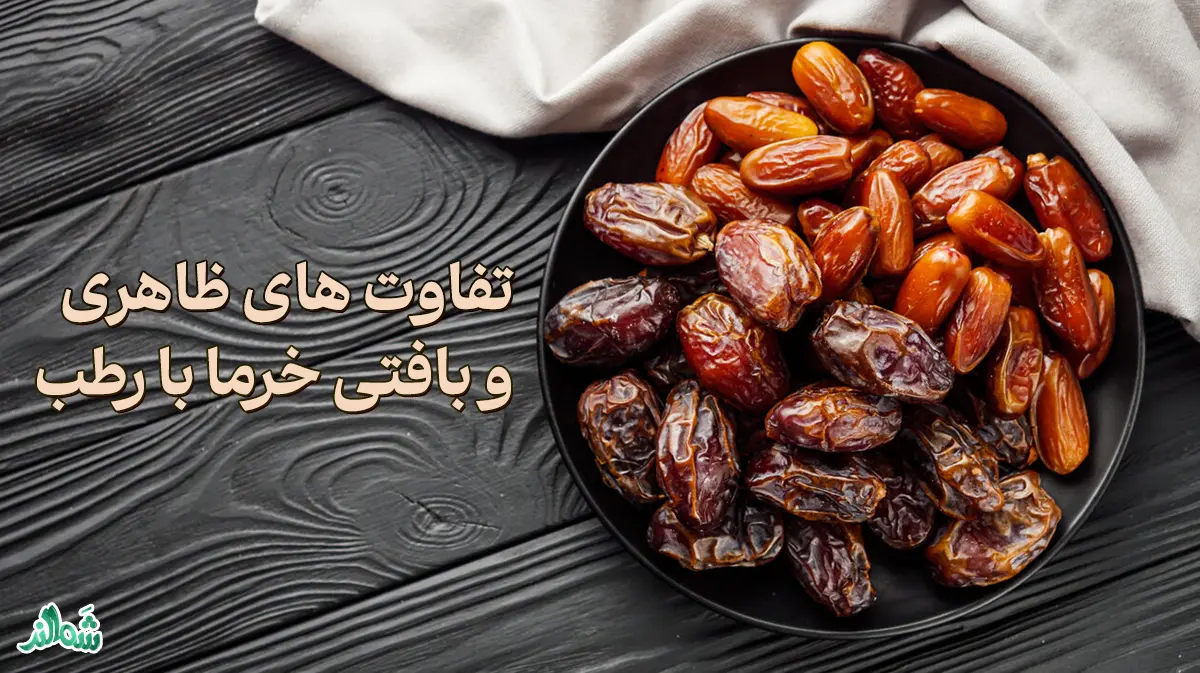 تفاوت خرما با رطب 