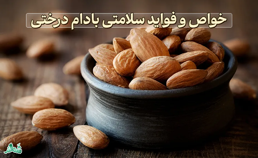 خواص و فواید بادام درختی