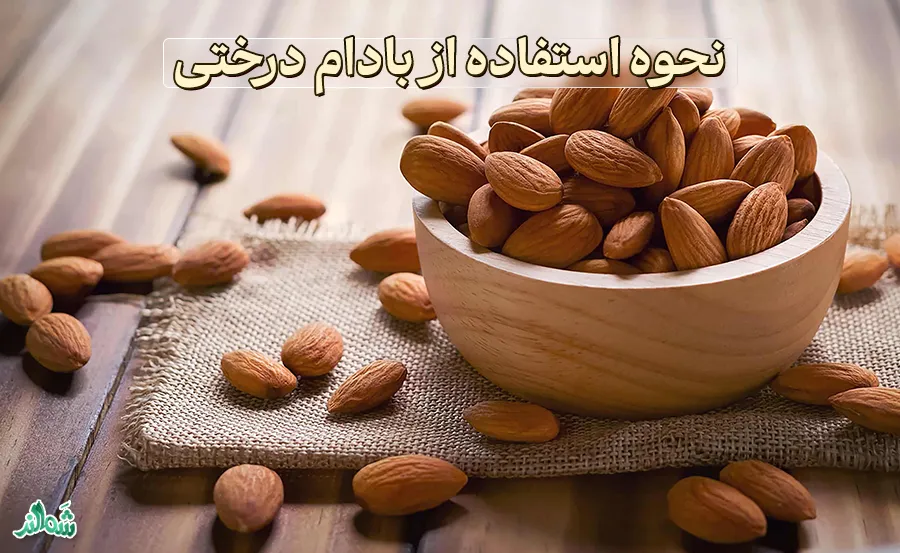 خواص و فواید بادام درختی 