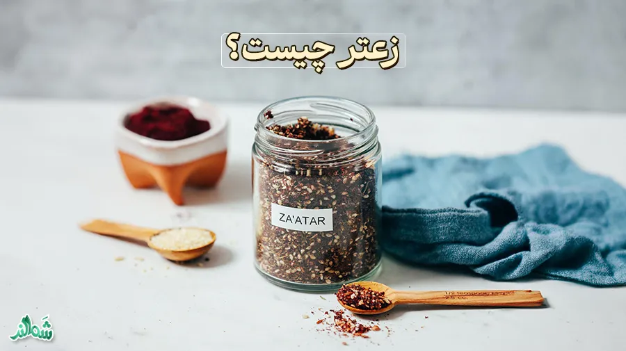 زعتر چیست؟