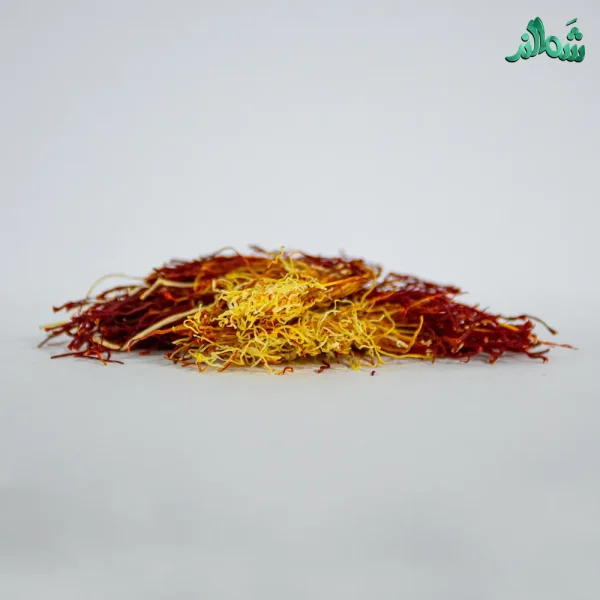 زعفران دخترپیچ شَمالند (زعفران دسته)