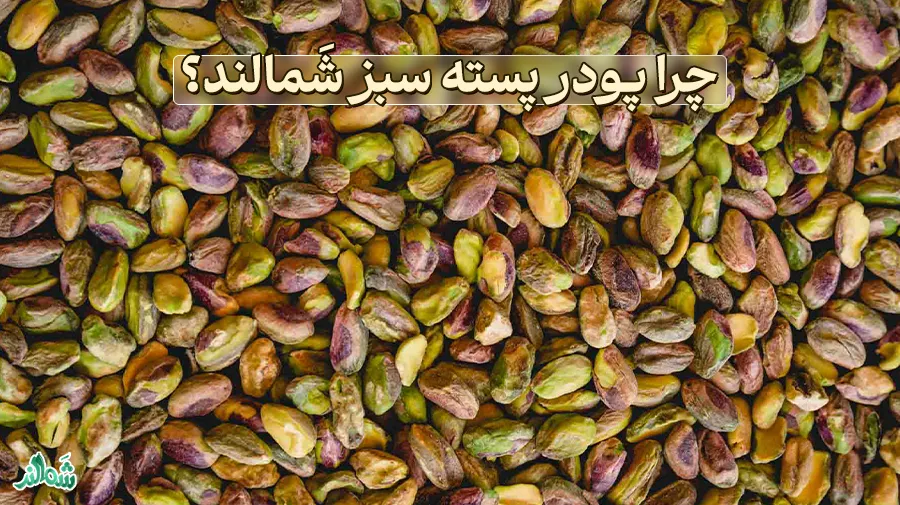 پودر پسته سبز شَمالند