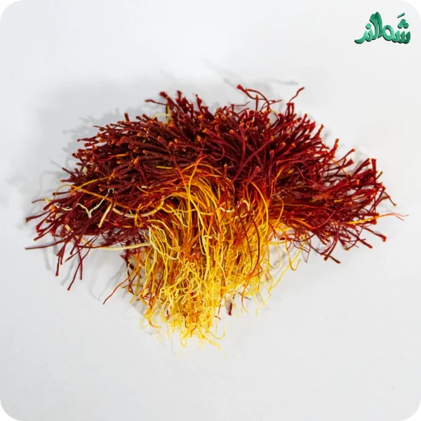 زعفران دخترپیچ شَمالند (زعفران دسته)