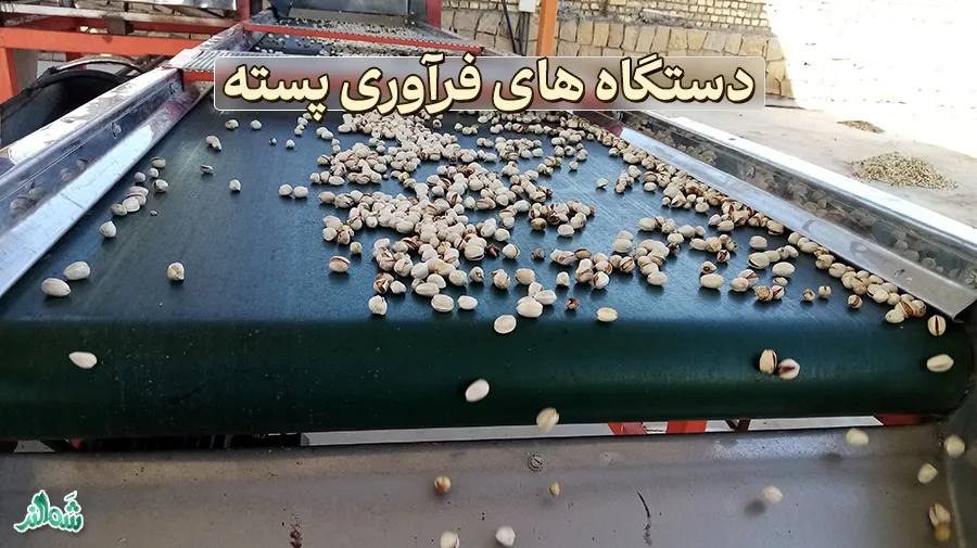 دستگاه های فراوری پسته در ترمینال ضبط پسته 