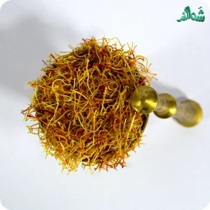 ریشه زعفران شَمالند