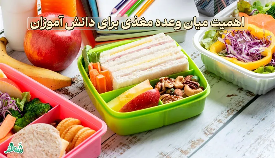10 میان وعده مناسب برای دانش آموزان در مدرسه