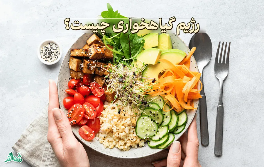 رژیم گیاهخواری چیست؟ لاغری سریع، فوائد و مضرات