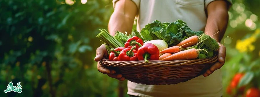 رژیم گیاهخواری چیست؟ لاغری سریع، فوائد و مضرات