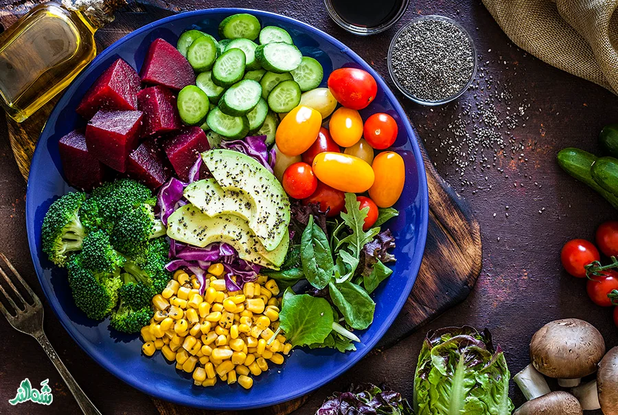 رژیم گیاهخواری چیست؟ لاغری سریع، فوائد و مضرات