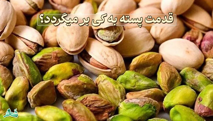 همه چیز در مورد پسته