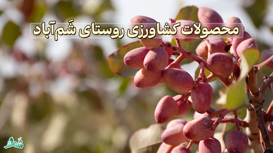 روستای شَم‌آباد