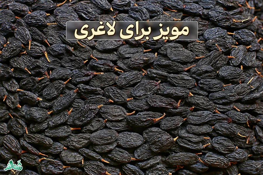 خواص مویز برای بدن