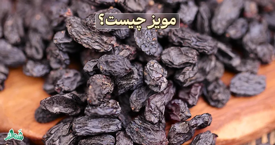 طرز تهیه مویز سیاه خانگی