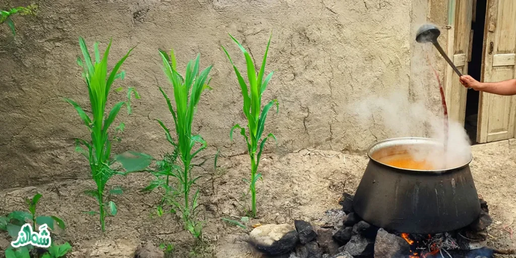 خواص شیره انگور
