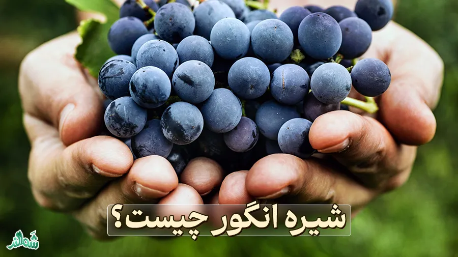 خواص شیره انگور