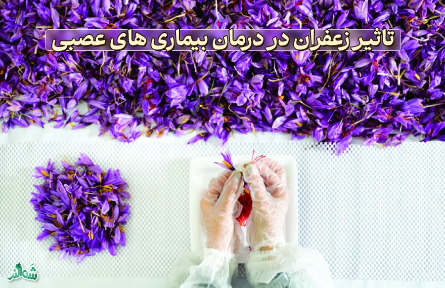 تاثیر زعفران در درمان بیماری های عصبی