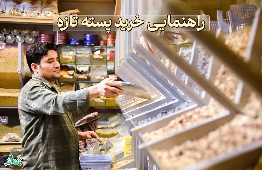 راهنمای خرید پسته تازه