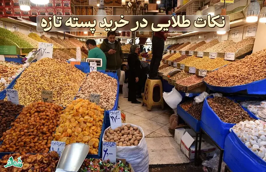 راهنمای خرید پسته تازه
