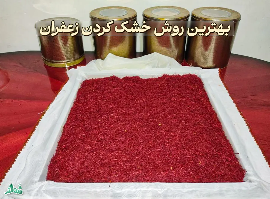 بهترین روش خشک کردن زعفران