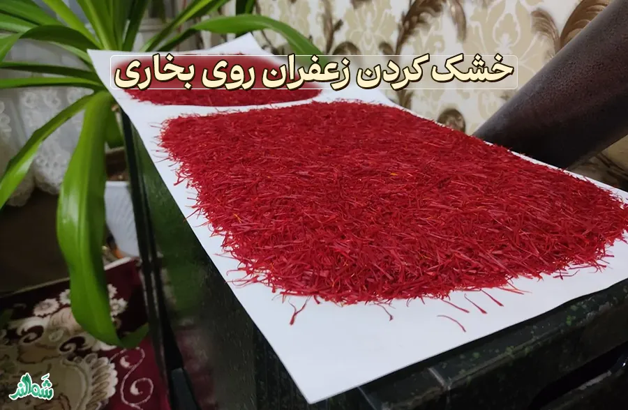 بهترین روش خشک کردن زعفران