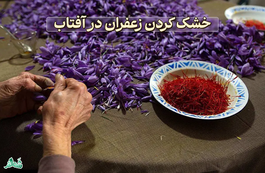 بهترین روش خشک کردن زعفران