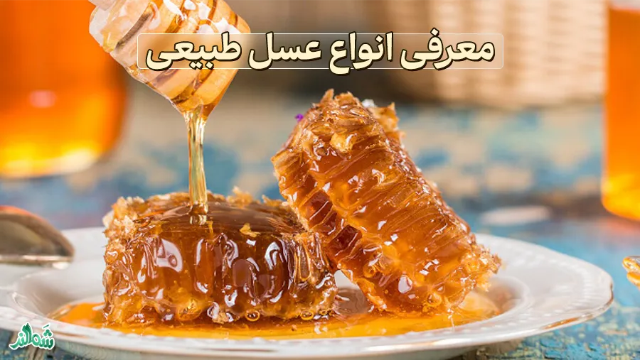 معرفی انواع عسل طبیعی