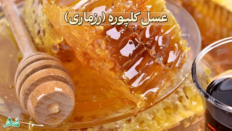 معرفی انواع عسل طبیعی