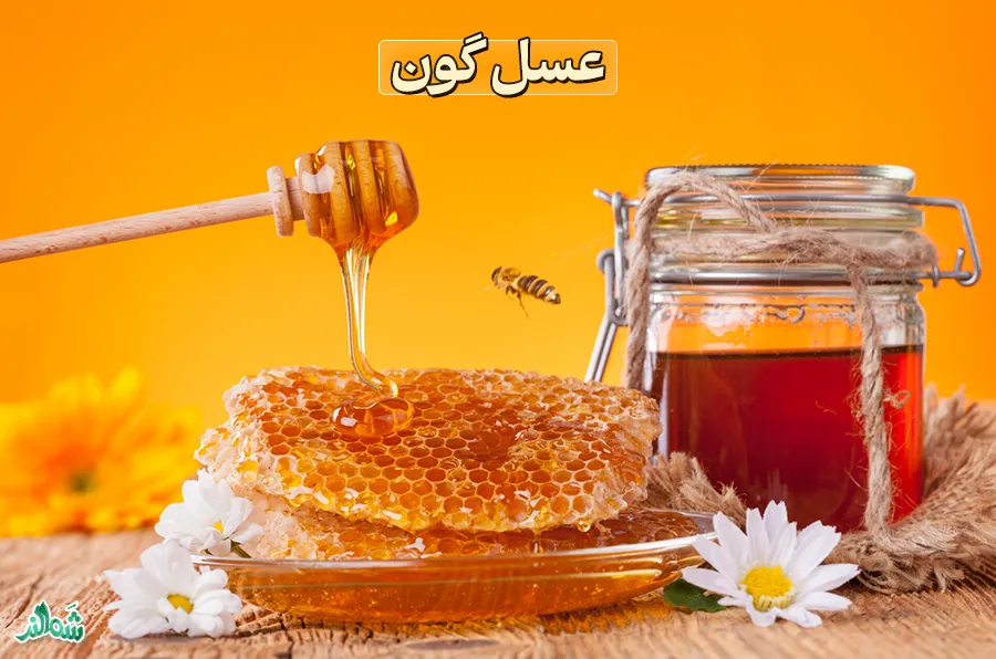 معرفی انواع عسل طبیعی