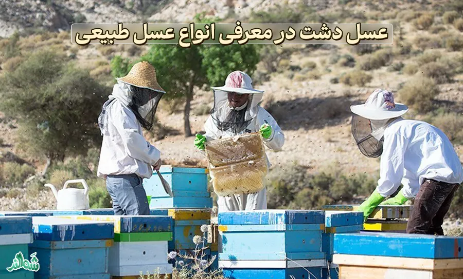 عسل دشت در معرفی انواع عسل طبیعی