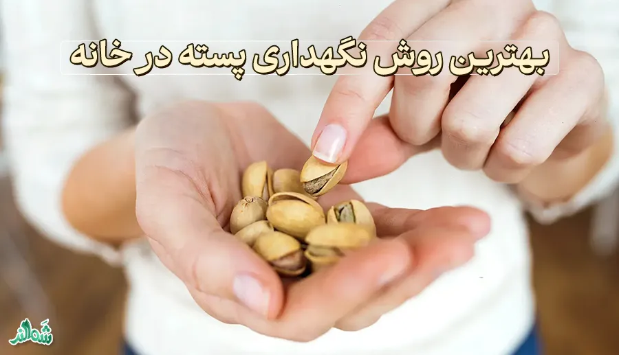 بهترین روش نگهداری پسته در خانه
