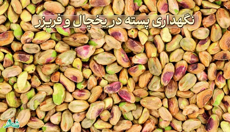 بهترین روش نگهداری پسته در خانه