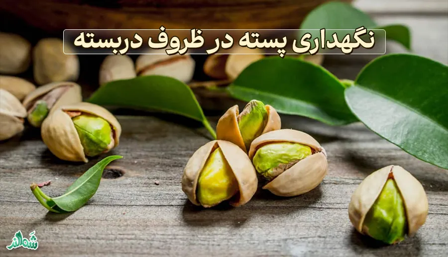 بهترین روش نگهداری پسته در خانه