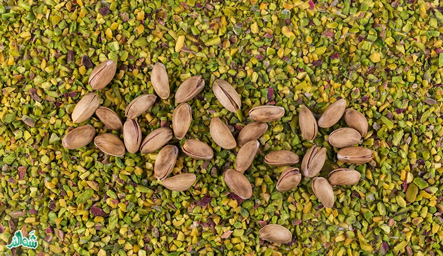 شناخت کامل پسته نر برای باغات