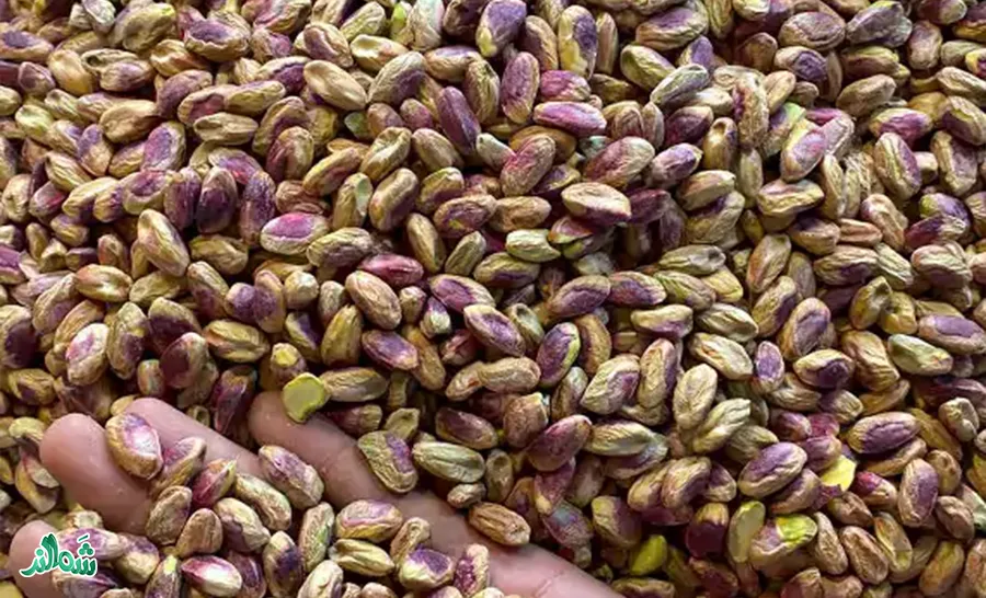 مغز پسته شکسته دستچین شَمالند